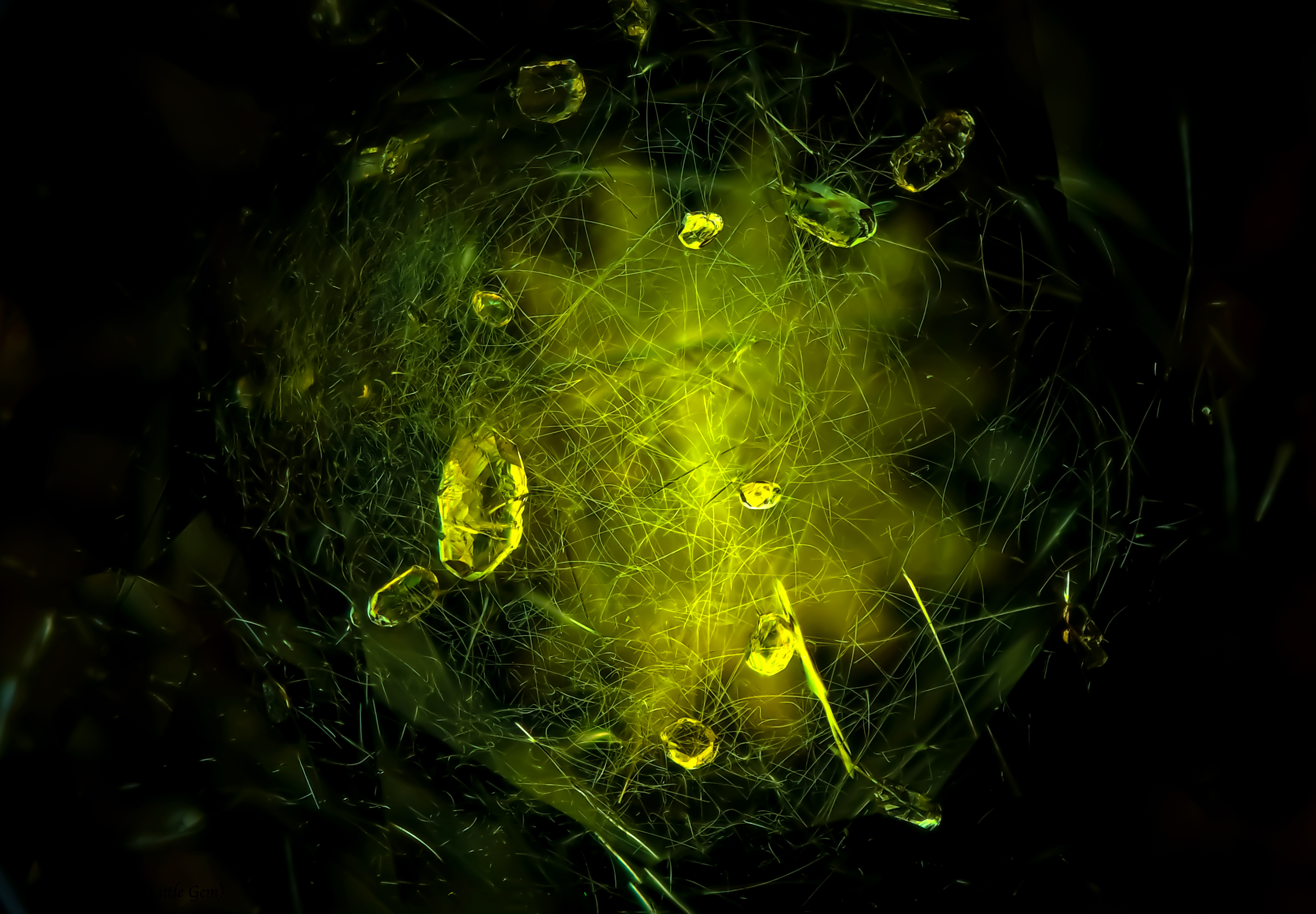Demantoid Garnet inclusion — Pakistan